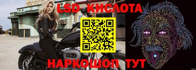 шишки Тара