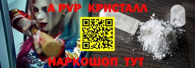 шишки Тара