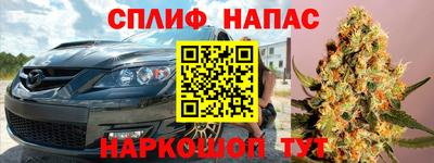 шишки Тара