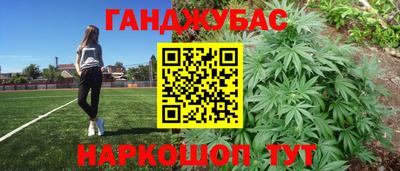 шишки Тара