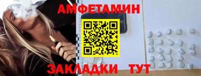 шишки Тара