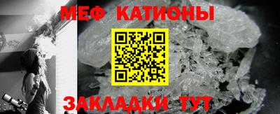 шишки Тара